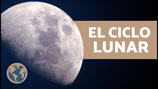 ¿Cuáles son las FASES de la LUNA 🌙 Explicación Ciclo Lunar y Cómo se Produce [upl. by Nitaj]