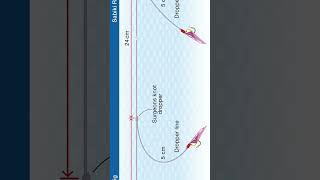 Shorts How To Tie The Sabiki Rig [upl. by Ettenuahs]