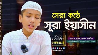 চমৎকার কন্ঠে সূরা ইয়াসিন  Surah Yasin  سورة يس হাফেজ সালেহ আহমদ তাকরীম  Hafez Saleh Ahmad Takrim [upl. by Swehttam]