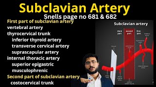 Subclavian Artery Anatomy  first amp second part Branches [upl. by Ayek]