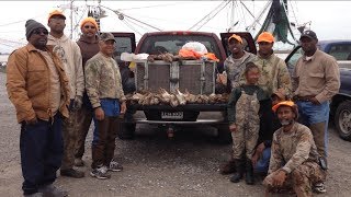 Bensons Kennel Louisiana Rabbit Hunting With Beagles [upl. by Ponzo556]