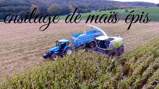 ensilage de maïs epis bio 2019 et ensileuse claas jaguar 960 il y en que 3 en France [upl. by Adyam]