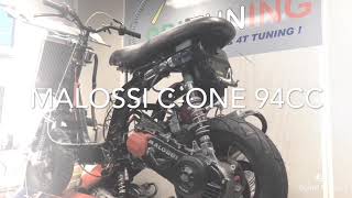 Malossi cone 94 cc 29HP [upl. by Adali]