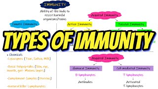 Types of Immunity Chapter 35 part 1 Guyton and Hall Physiology [upl. by Niarbo]