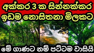 අක්කර 3 ක සින්නක්කර ඉඩම ලක්ෂ ගාණක් අඩුවට විකිණේ  Land for sale in sri lanka  Aduwata idam  Idam [upl. by Talbert]