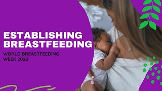 Establishing Breastfeeding The Early Days and Weeks  La Leche League ｜WBW 2020 [upl. by Assirol]