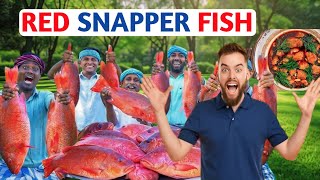 RED SNAPPER FISH 🐟  Fact Rangi  Big Fish Grill Recipe Cooking in Village  Ancient Cooking [upl. by Gerladina90]