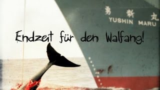 Sea Shepherd Australia  Endzeit [upl. by Lindly]