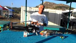 Robird G31 Flybarless System [upl. by Allecsirp116]