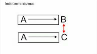 Determinismus  kürzeste Erklärung des Determinismus [upl. by Hcirteid880]