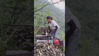 Wood Cutting Techniques  Planting Gastrodia ）satisfying shortsvideo [upl. by Nnylaj]