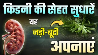 किडनी सेहत सुधारे यह जड़ी बूटी अपनाए  A Natural Solution for Kidney Health  Cleaver Herb for CKD [upl. by Kovacev]