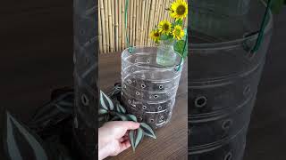 Amazing good idea recycle planting flower in bottle plastic so beautiful garden flower diy [upl. by Ahtivak331]