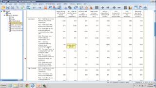 Convergent and Discriminant Validity Correlational Matrix Approach [upl. by Zulch]