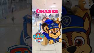 PAW PATROL🐶 funnymemes viral videosgraciosos comedy niños pawpatrol chasepawpatrol [upl. by Pontus]