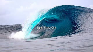 『Japan Daily Clip』20241025  Okinawa [upl. by Warfold]