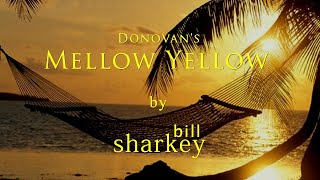 Mellow Yellow  Donovan coverlive by Bill Sharkey [upl. by Germayne820]