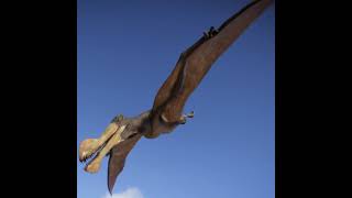 Ornithocheirus simus sounds JW part 2 [upl. by Joana612]