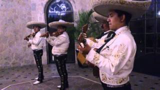 EL GARABATO POLKA MARIACHI MOYA [upl. by Samaj]