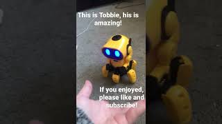 Our robot Tobbie And all about him [upl. by Aplihs]