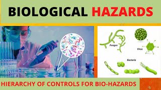 Biological Hazards  Hierarchy of Controls to Biological Hazards Shorts bright side safetyfirstlife [upl. by Aitak]