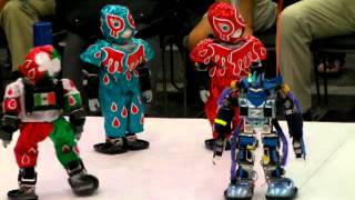 Robot ProWrestling Dekinnoka13 The 8th Match [upl. by Eralc92]