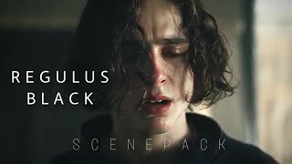 Regulus Black FANCAST  Timothée Chalamet  LOGOLESS SCENEPACK  1080p [upl. by Ernie]