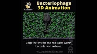 Bacteriophage animation video [upl. by Accire]