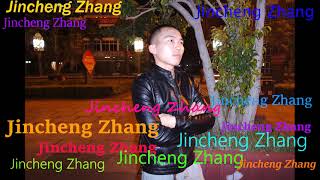 Evanescente Cofrix  Jincheng Zhang Official Music Video [upl. by Dduj]