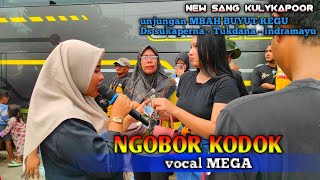 NGOBOR KODOK  MEGA  SINGADANGDUT NEW SANG KULYKAPOOR  unnungan mbh buyut REGU ds sukaperna IM [upl. by Loughlin]