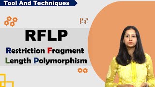 RFLP I Restriction Fragment Length Polymorphism I Tool amp Technique I [upl. by Slerahc]