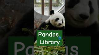 ✨Magical✨ functions under Pandas library of Python [upl. by Kirre]