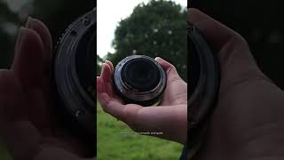 Does the Canon 24mm f28 STM Have Good Auto Focus [upl. by Serene]