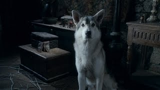 A Tribute to Direwolves Game of Thrones [upl. by Henig]