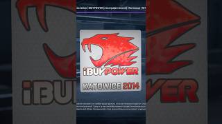 ПОЧЕМУ НАКЛЕЙКА “IBUYPOWER  KATOWICE 2014” ТАКАЯ ДОРОГАЯ cs cs2 csgo sticker ibuypower [upl. by Maximilian]