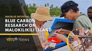 Australian Scientists Conduct Blue Carbon Research on Malokilikili Island  VBTC News [upl. by Huskamp]