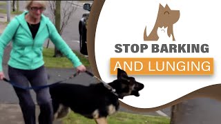 How to STOP your dog barking lunging at visitors amp dogs aggression [upl. by Venita]