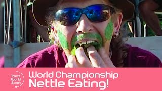 Would You Eat Stinging Nettles  Its World Championship Nettle Eating  Trans World Sport [upl. by Aicinat]