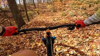 National Forest Mountain Biking Fall 2023 [upl. by Llenna]