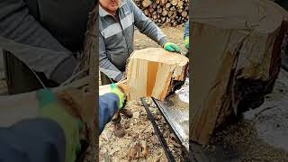 Log Splitter for two logsplitter machine woodsplitting [upl. by Annayk]