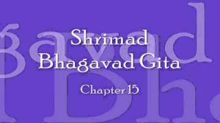 Bhagavad Gita  Chapter 15 Complete Sanskrit recitation [upl. by Hairas]