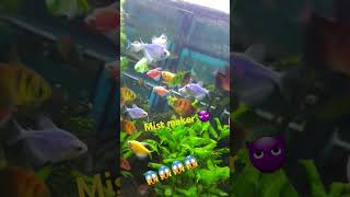 Mist maker ❤️😱 fish ytshort [upl. by Asil580]