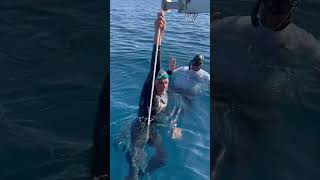 🇫🇷 Christian Vogler  80m FIM  White Card 🏳️ Freediving Ocean Cup  Luigino Ceppi Memorial 2024 [upl. by Baiss336]