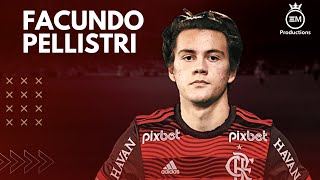 Facundo Pellistri ► Bem Vindo Ao Flamengo  Amazing Skills Goals amp Assists  2023 HD [upl. by Linea]