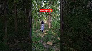 Sal Singile Bhorir🤣 November 390 Days zubeen shorts goalpariamunuvlogs youtubeshorts assamese [upl. by Ayenat]