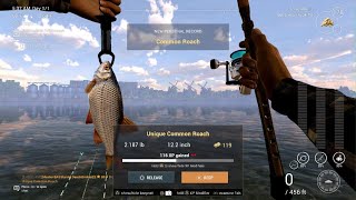 FishingPlanet Unique Common Roach GhentTernuezen Canal [upl. by Letti]