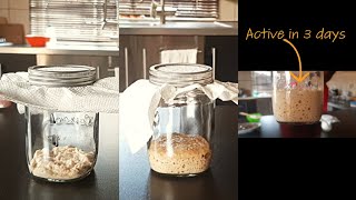 How I Learned to make Sourdough Starter with Guidelines that Work [upl. by Farkas605]