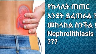 What is Nephrolithiasis  የኩላሊት ጠጠር ምንድን ነው  መከላከል ስንችል [upl. by Neall]