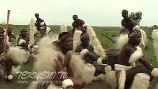 Celebrating Zulu Heritage Through Tribal Dance [upl. by Duaner]