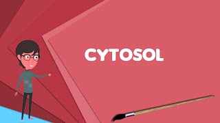 What is Cytosol Explain Cytosol Define Cytosol Meaning of Cytosol [upl. by Daph731]